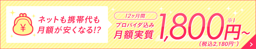 ネットも携帯代も月額が安くなる!?