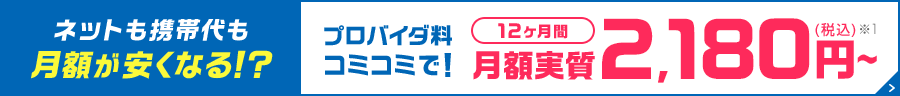 光コラボなら月額が安い！豊富なキャンペーンも実施中！