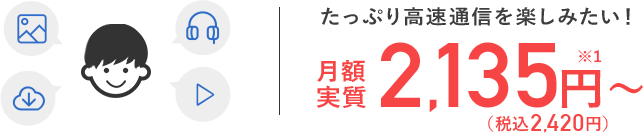 月額実質2,135円~