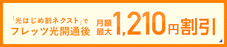 月額最大1,210円割引
