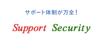support security