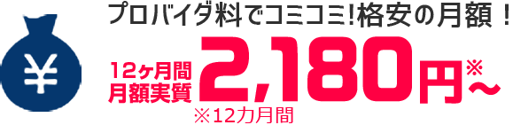 プロバイダ料でコミコミ！格安の月額！　月額実質2,180円～※12カ月間