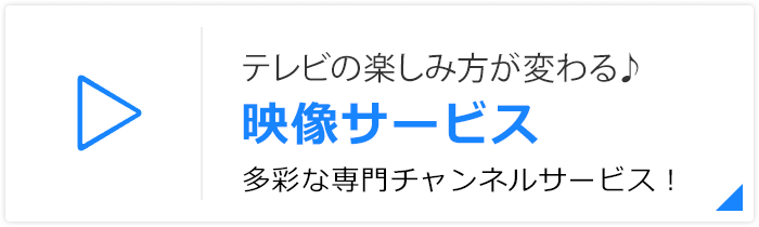 テレビの楽しみ方が変わる♪映像サービス 多彩な専門チャンネルサービス！