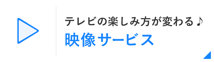 テレビの楽しみ方が変わる♪映像サービス