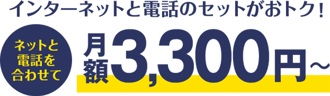 インターネットと電話のセットがおトク！月額3,300円～