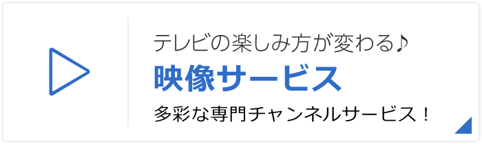 テレビの楽しみ方が変わる♪映像サービス 多彩な専門チャンネルサービス！