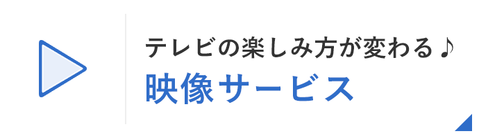 テレビの楽しみ方が変わる♪映像サービス