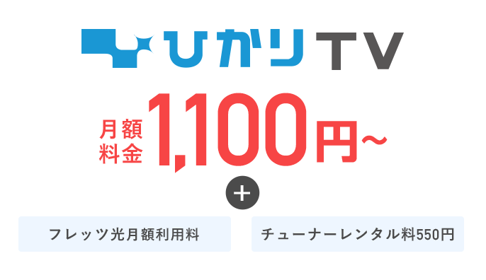 月額料金1100円〜