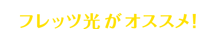 ビジネスでのインターネットはフレッツ光がオススメ!