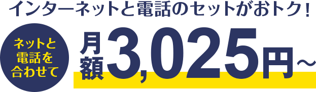 インターネットと電話のセットがおトク！月額3,025円～