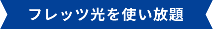 フレッツ光を使い放題